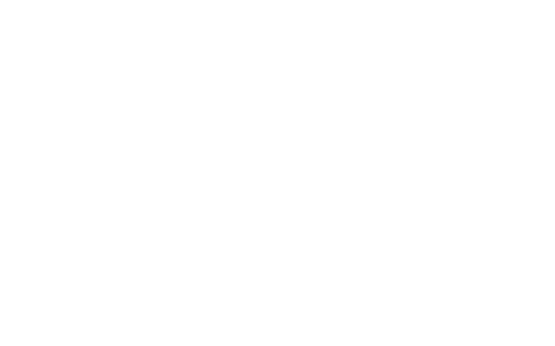 银球